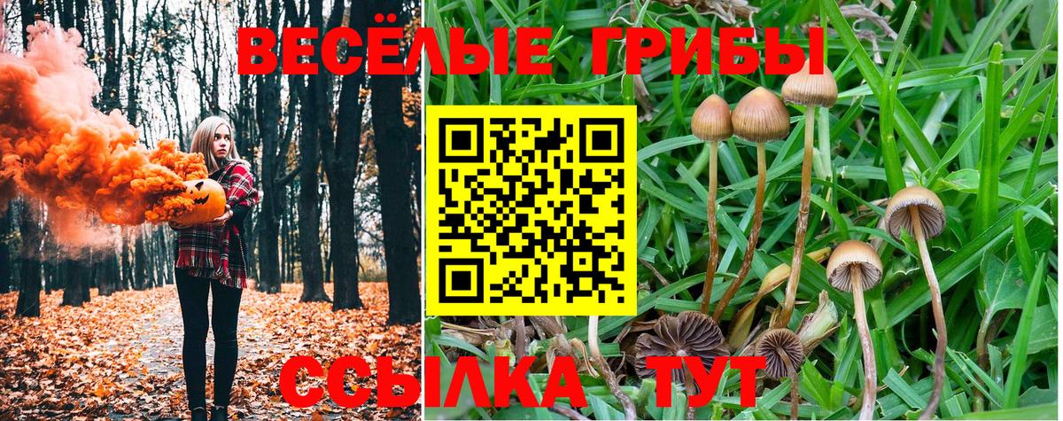 Галлюциногенные грибы ЛСД Ногинск